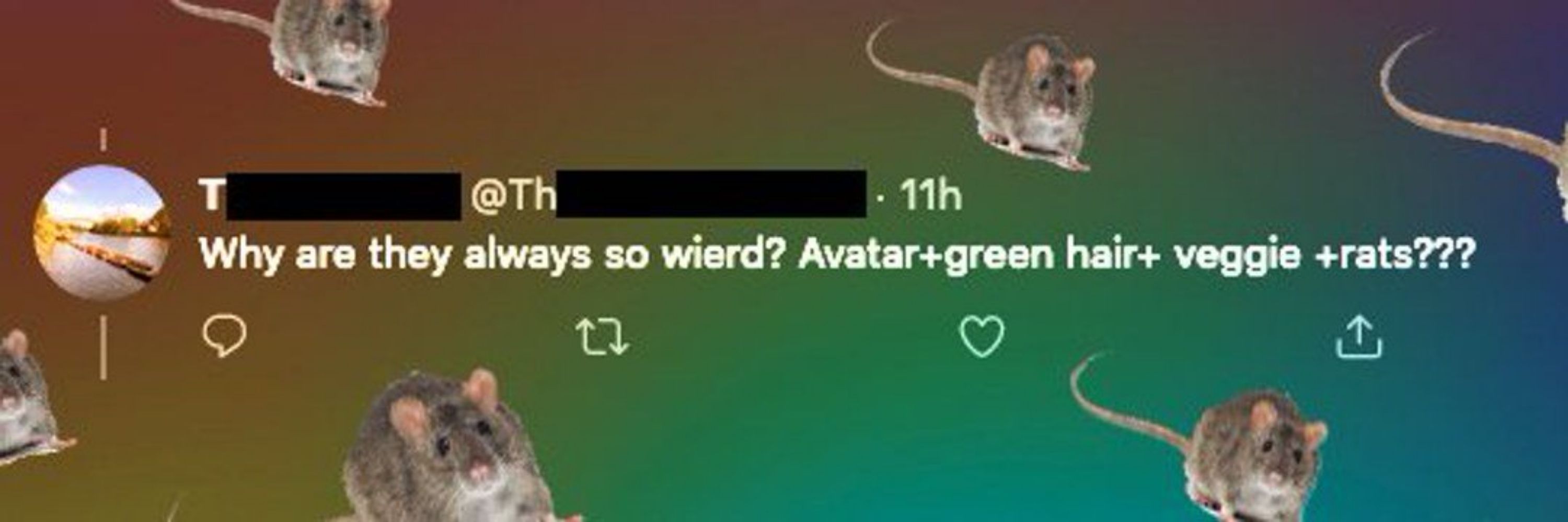 Fern 🏳️‍⚧️🐀