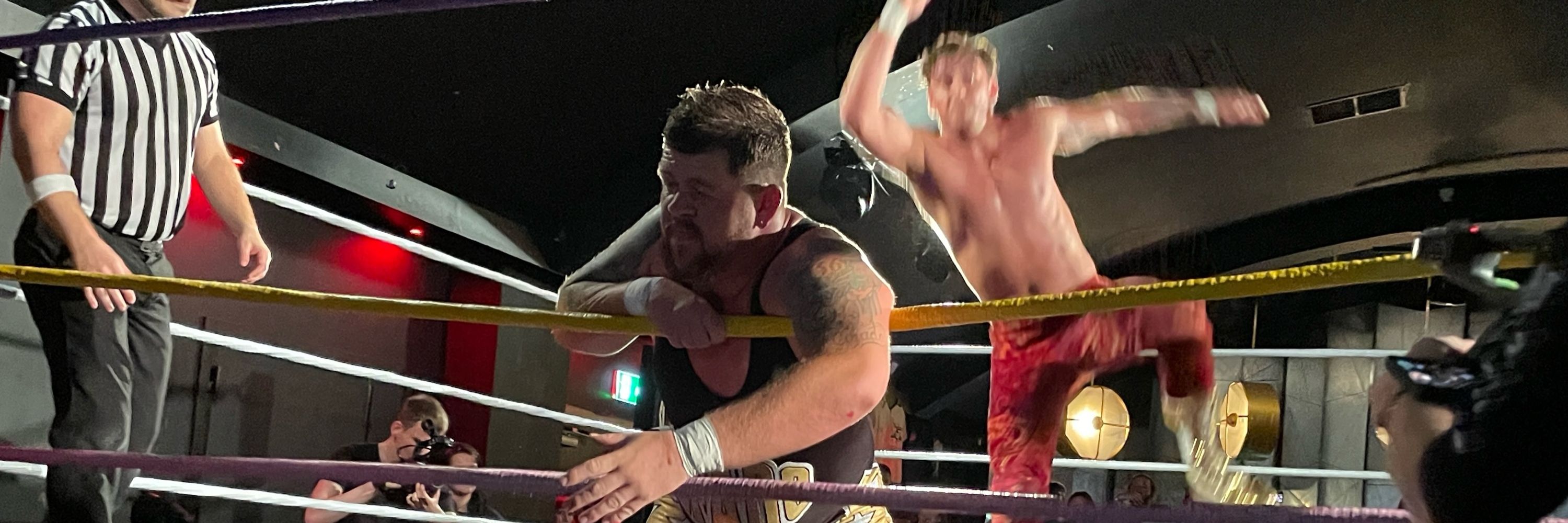 ラッコ 🤼‍♂️