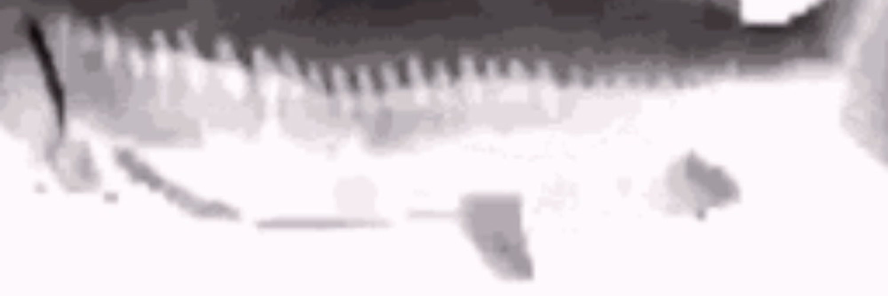 Fsh [BOT]