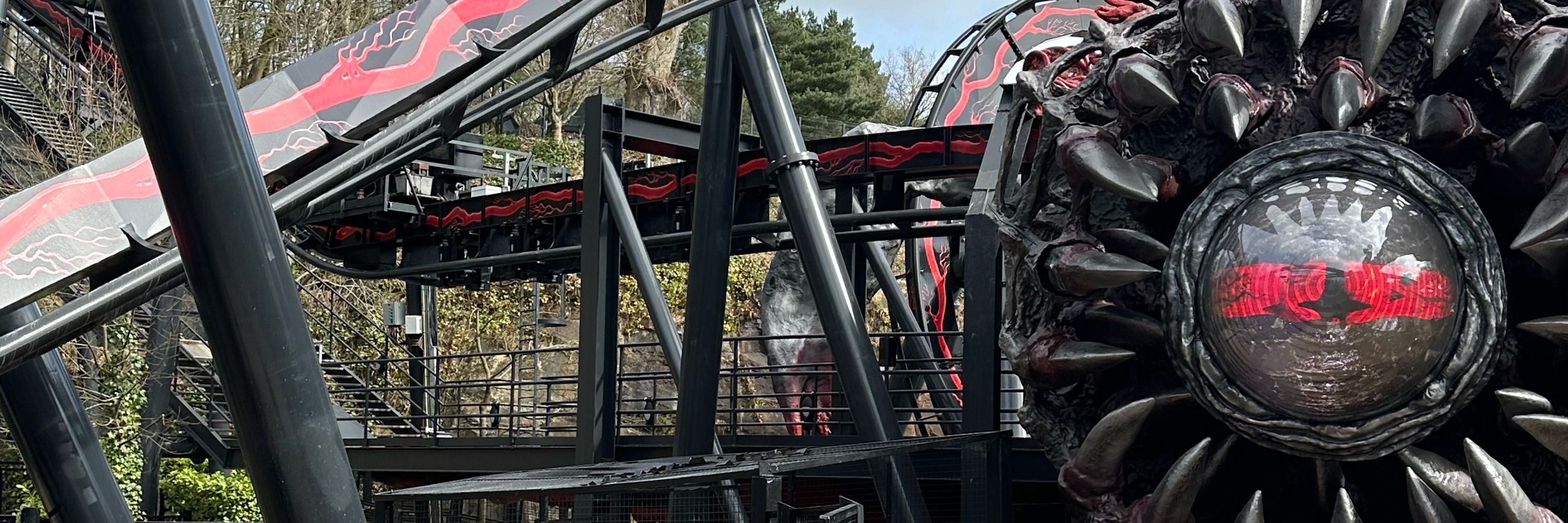 Harri Tyler🎢