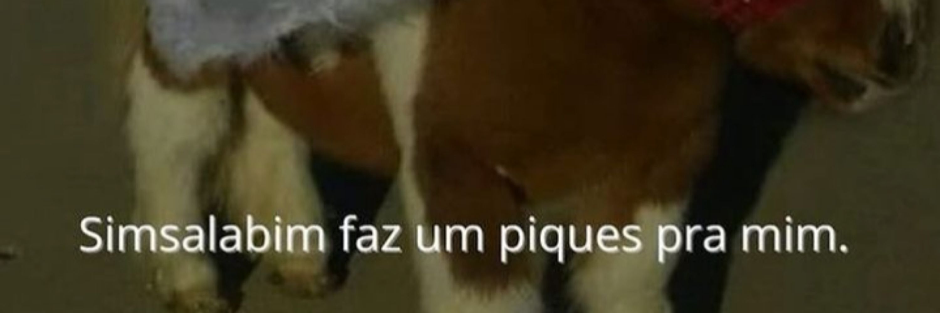 Laizinha