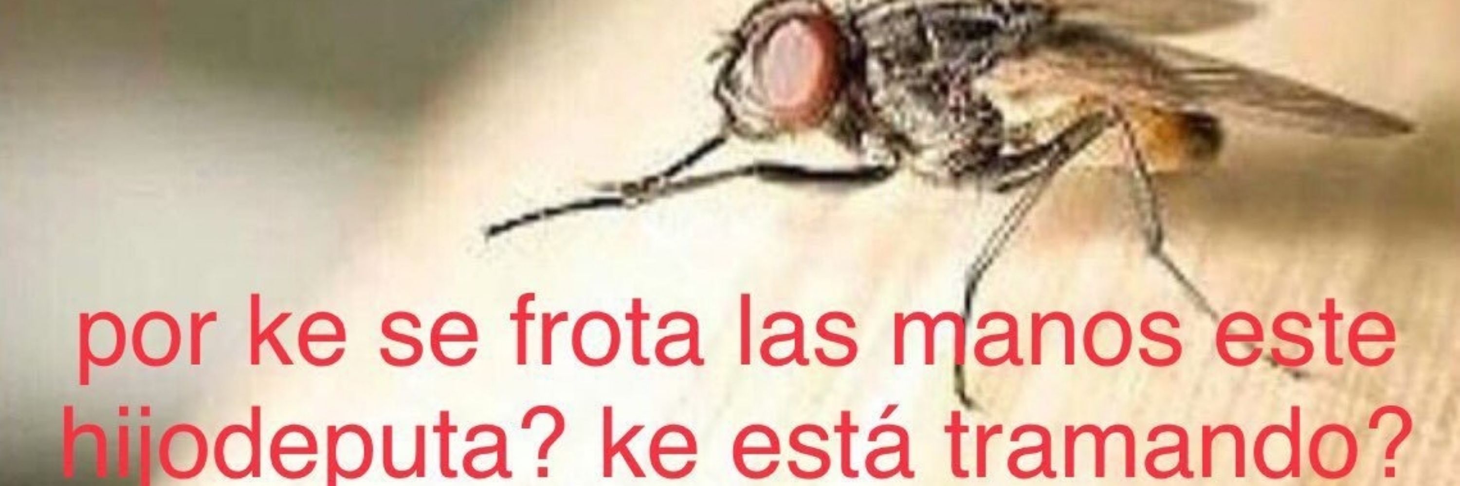el mazho