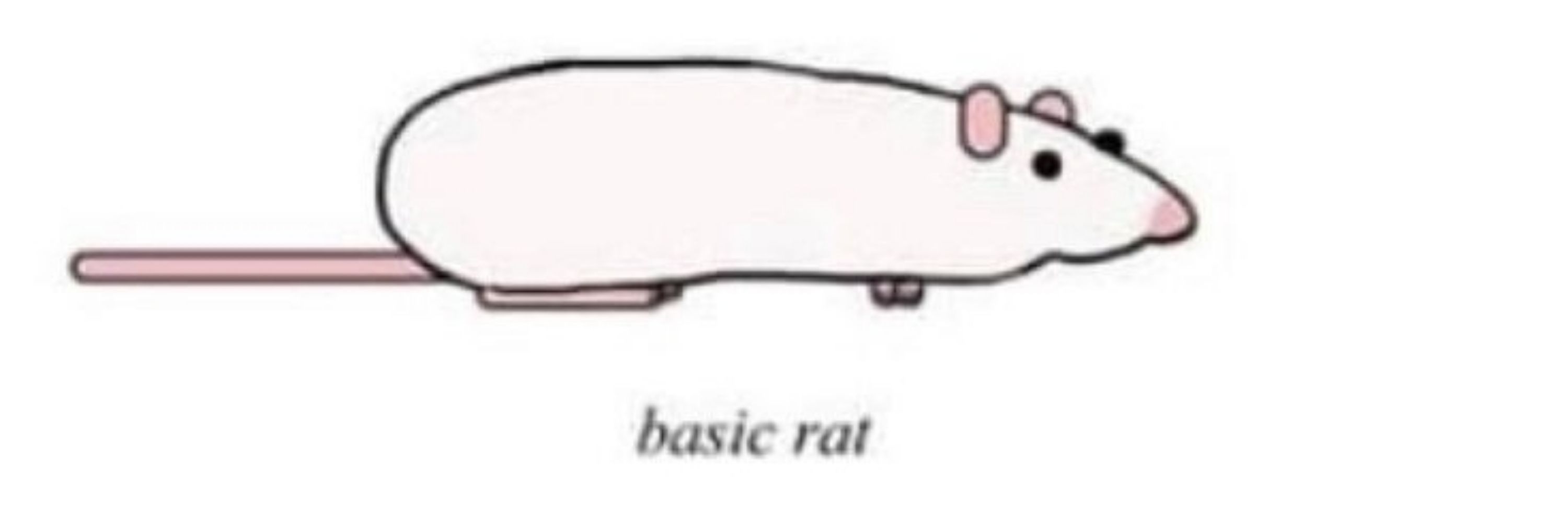Alice🐀