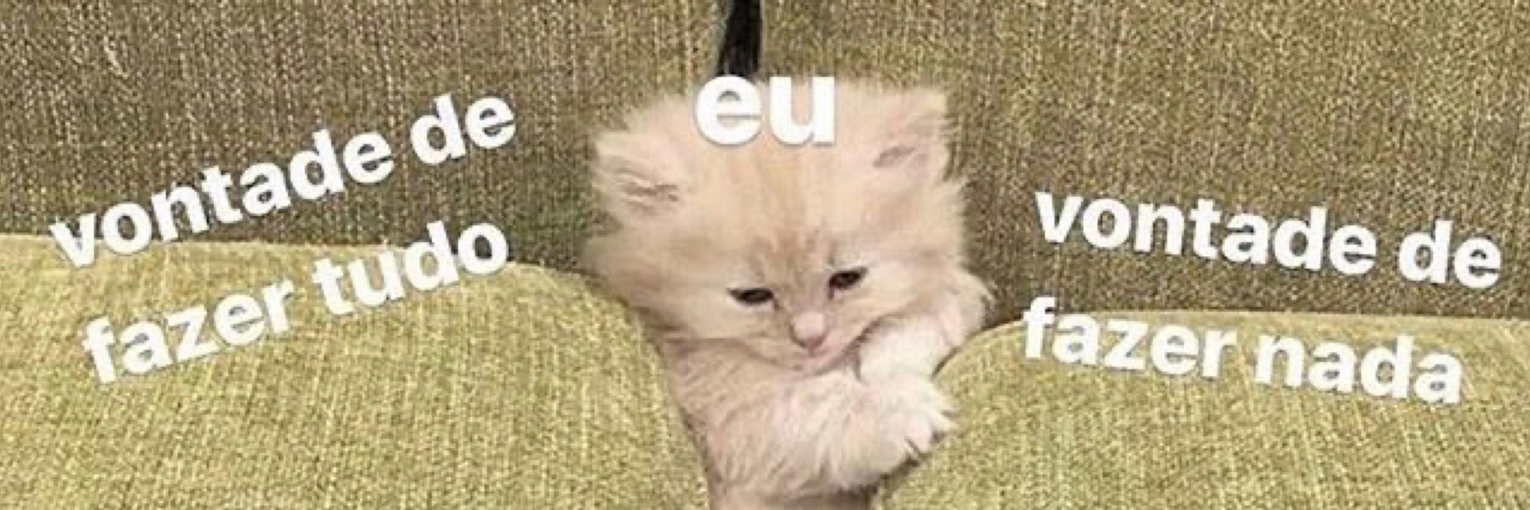 fefe