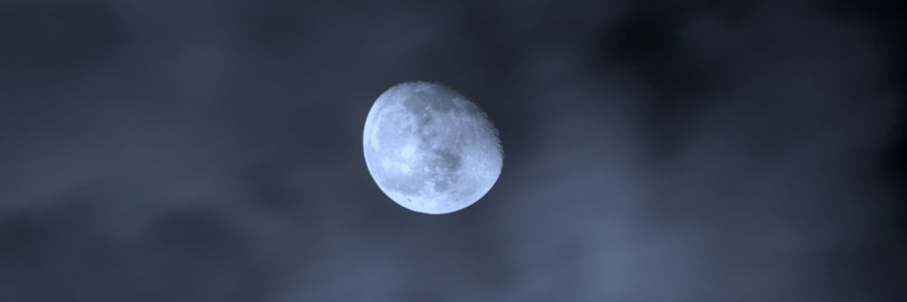 Moon Lover