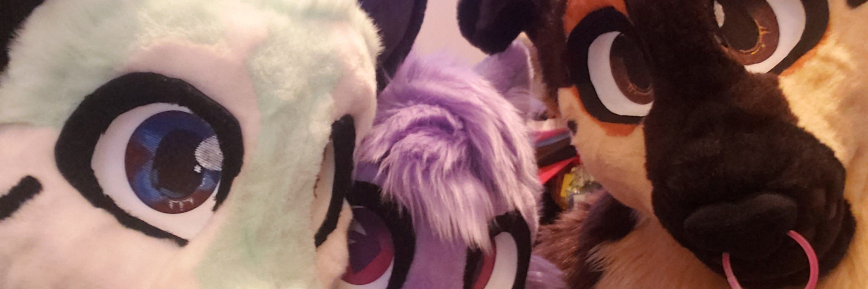 Fresh Da Husky