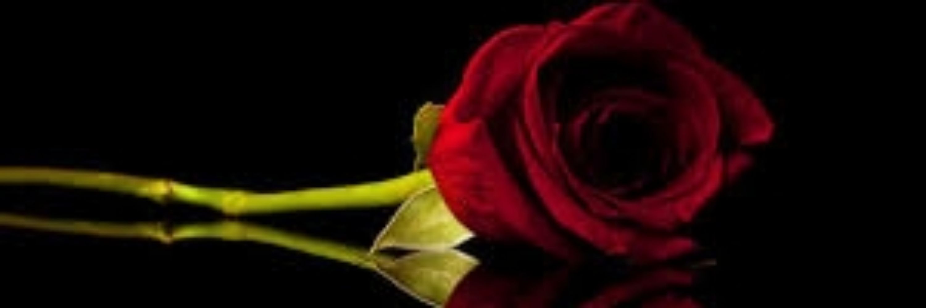 Jessica Rose