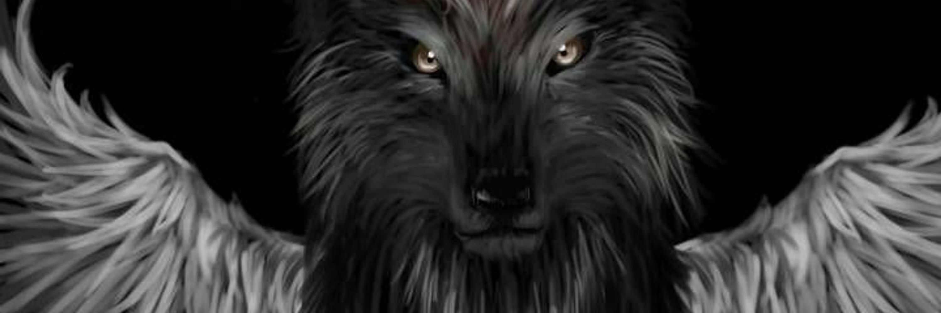 DarkAngel2Wolf