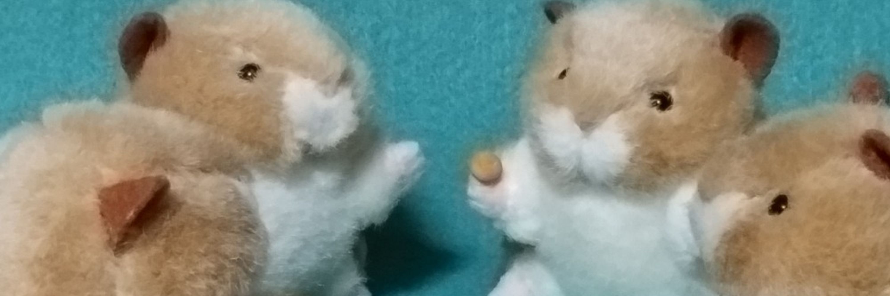 すまいるまいる