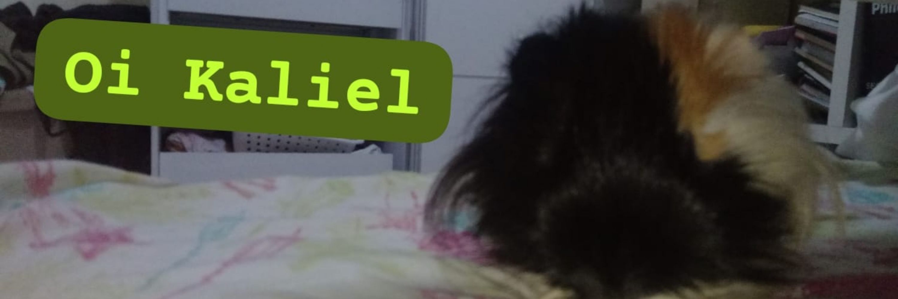 Var name="KALIEL";
