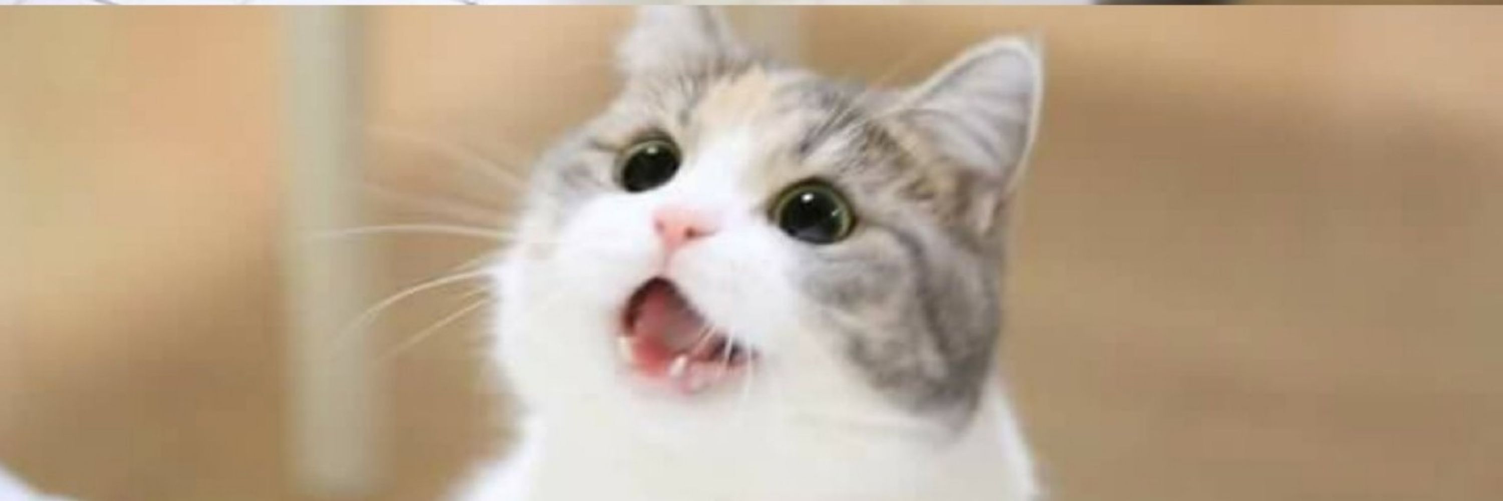 수박남자