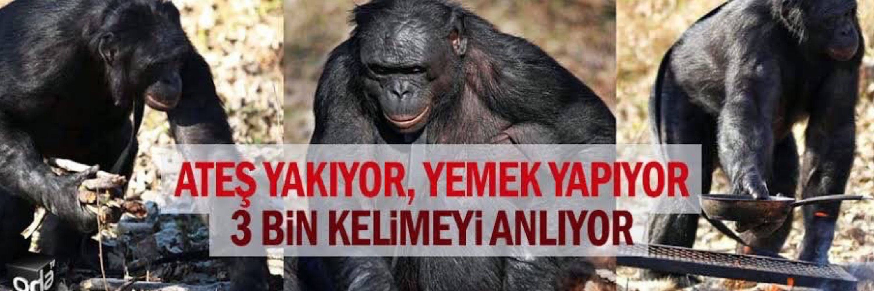emir