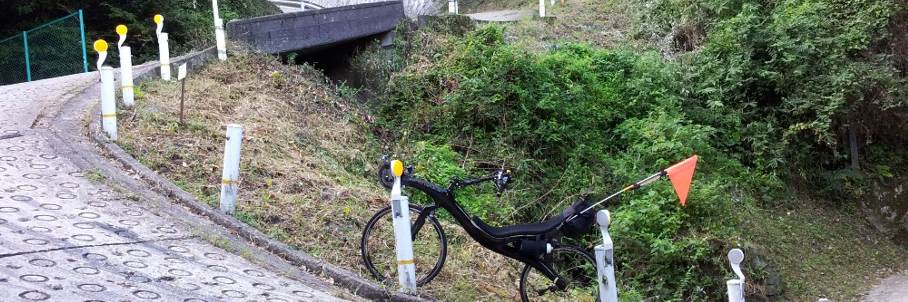あさひ菌