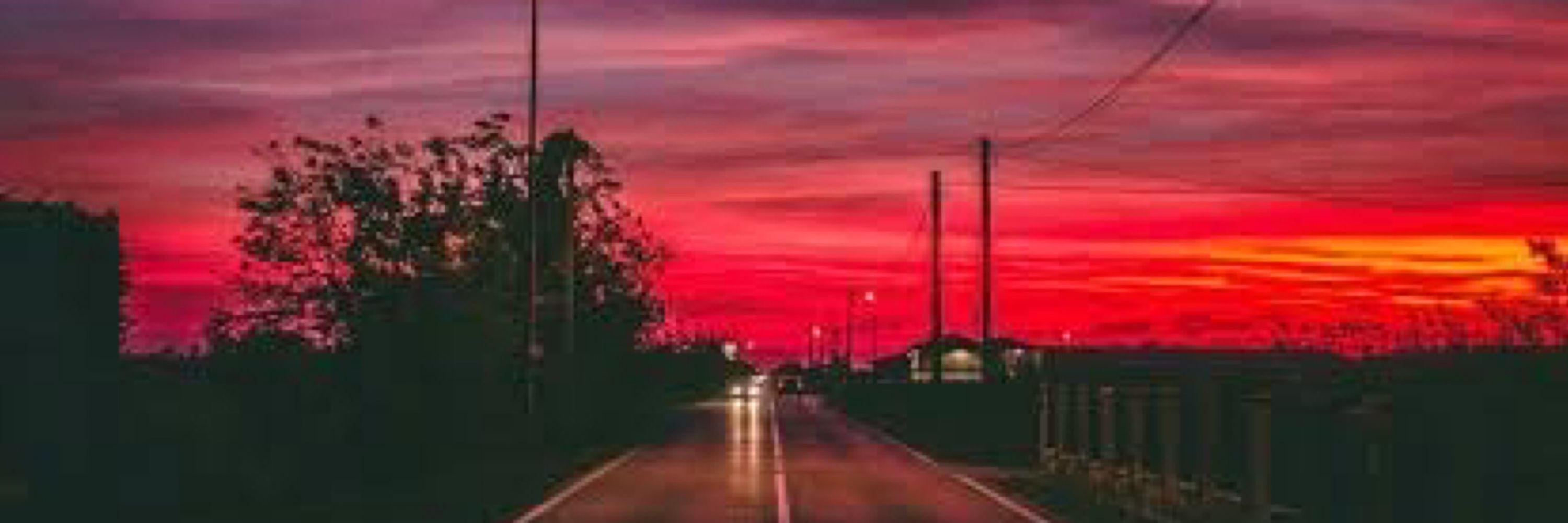 ruru