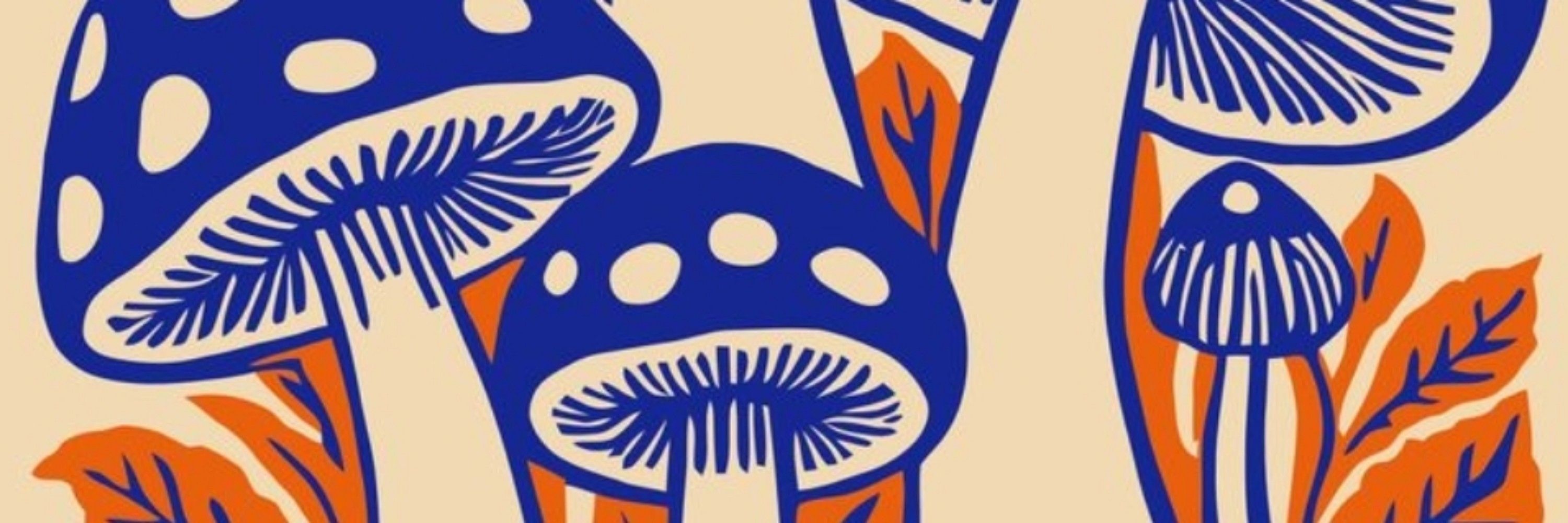 Ma