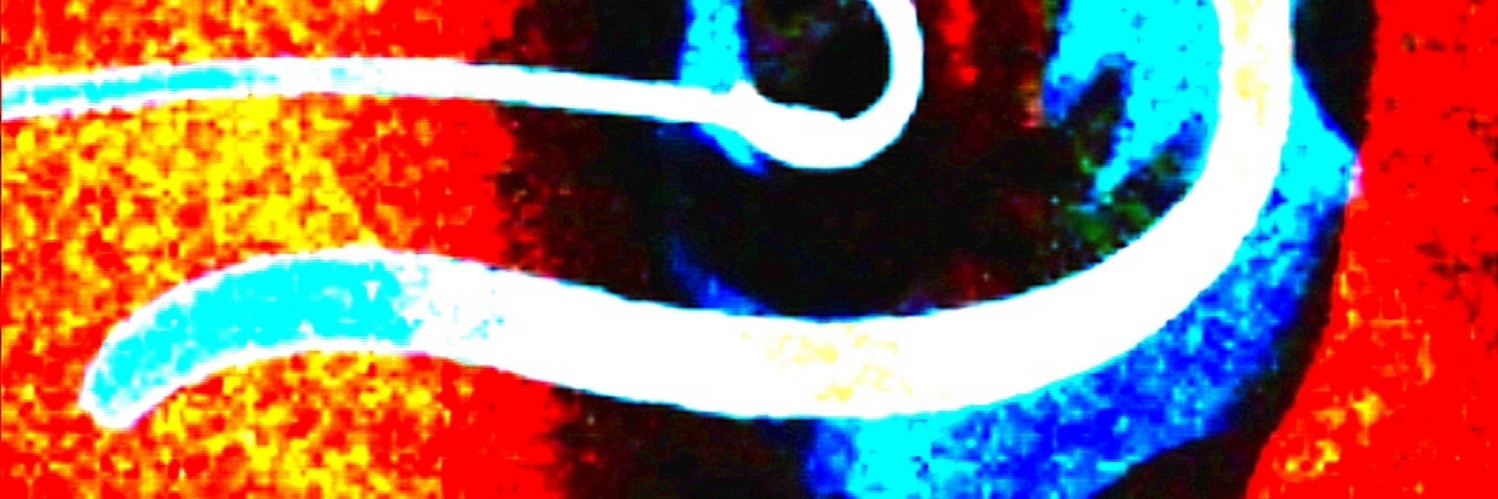 Joãonuário