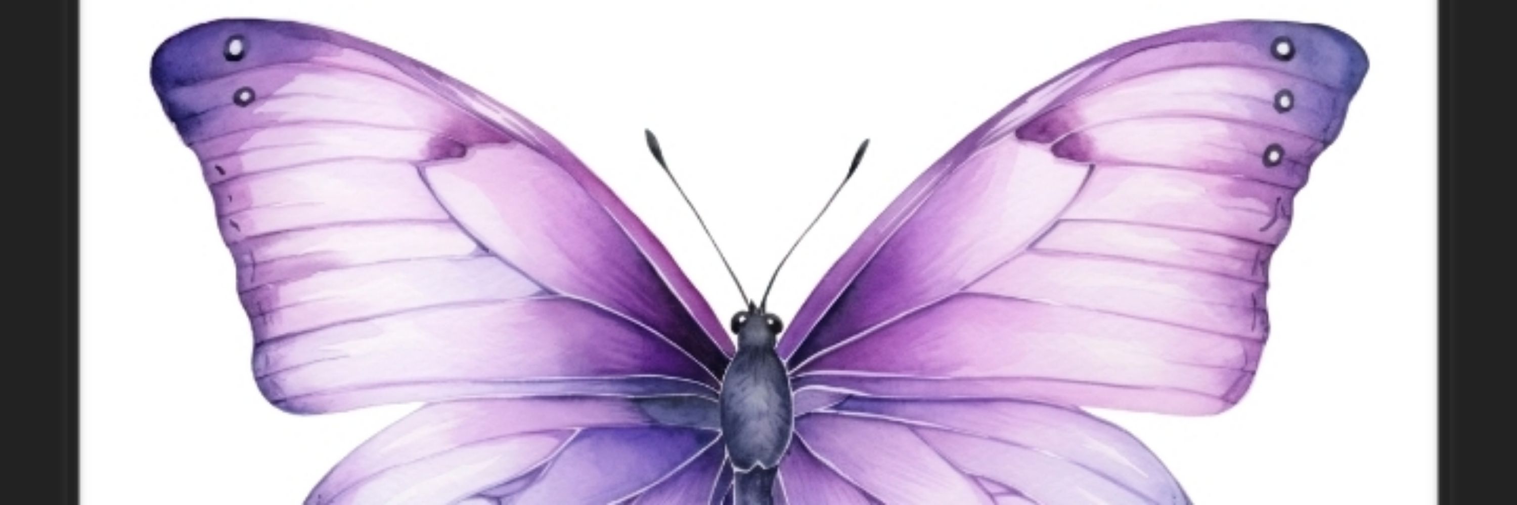 MMariposa 🦋🇲🇽🇧🇷🇺🇸🌎🌈