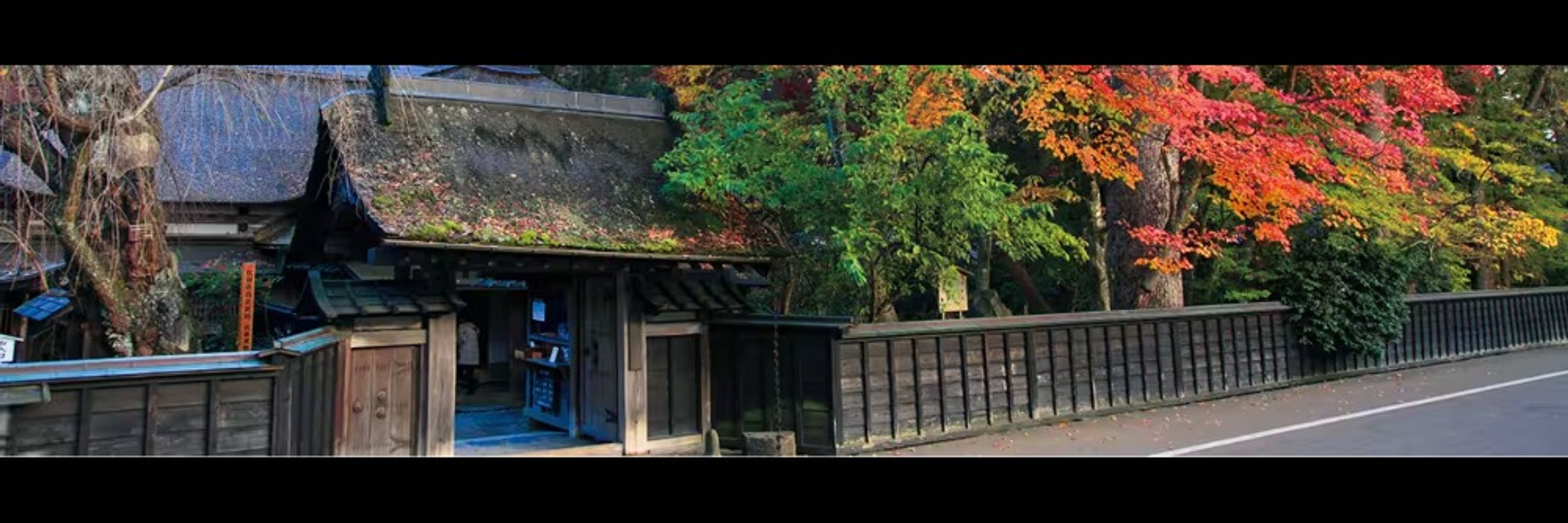 Samurai History & News