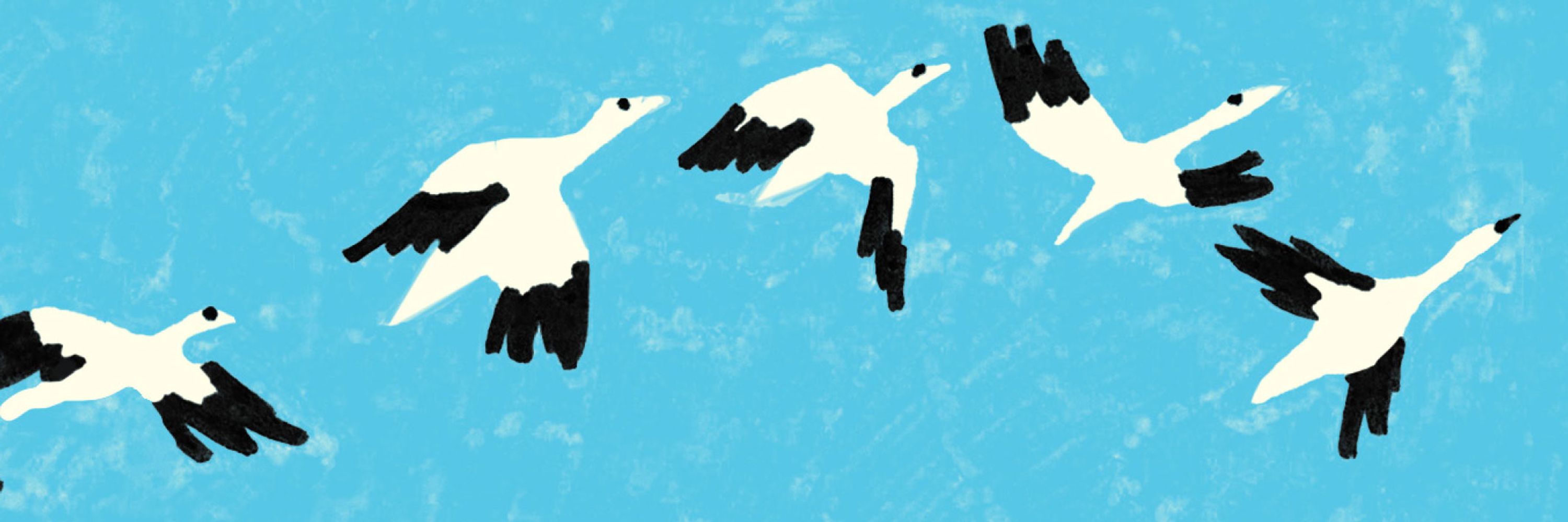 Réseau Art Actuel - RCAAQ