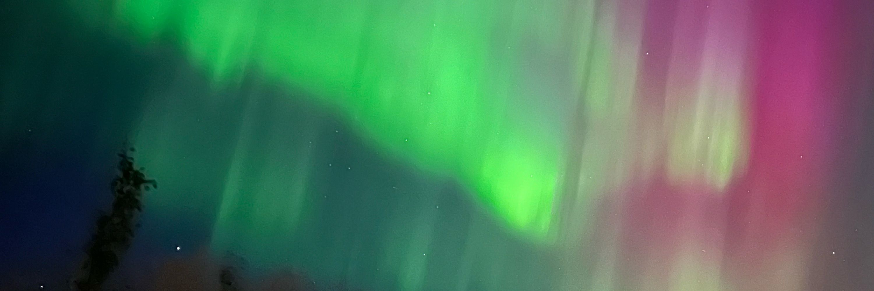 Ward of the North 🇨🇦 ✌🏼☮️ 🎸🤘🏼