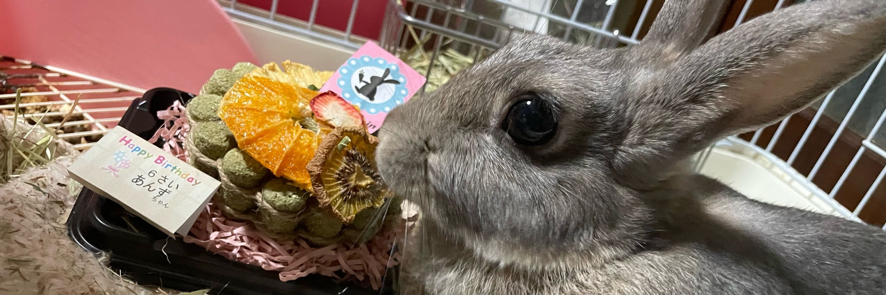 おもち