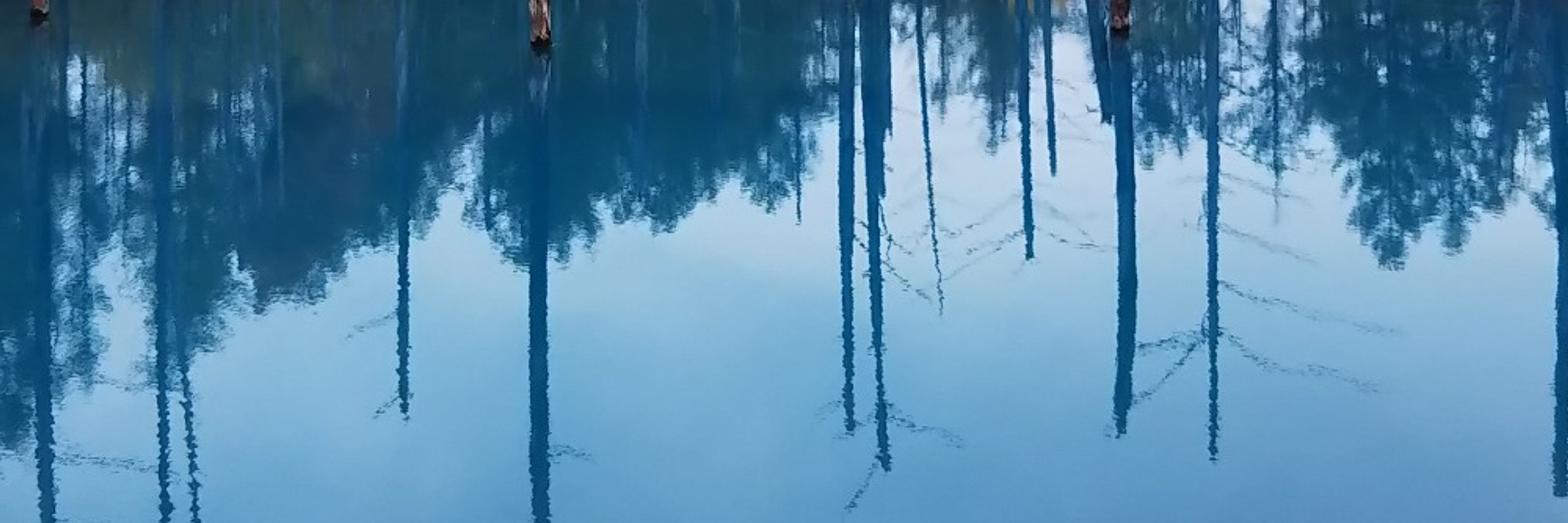 浅海