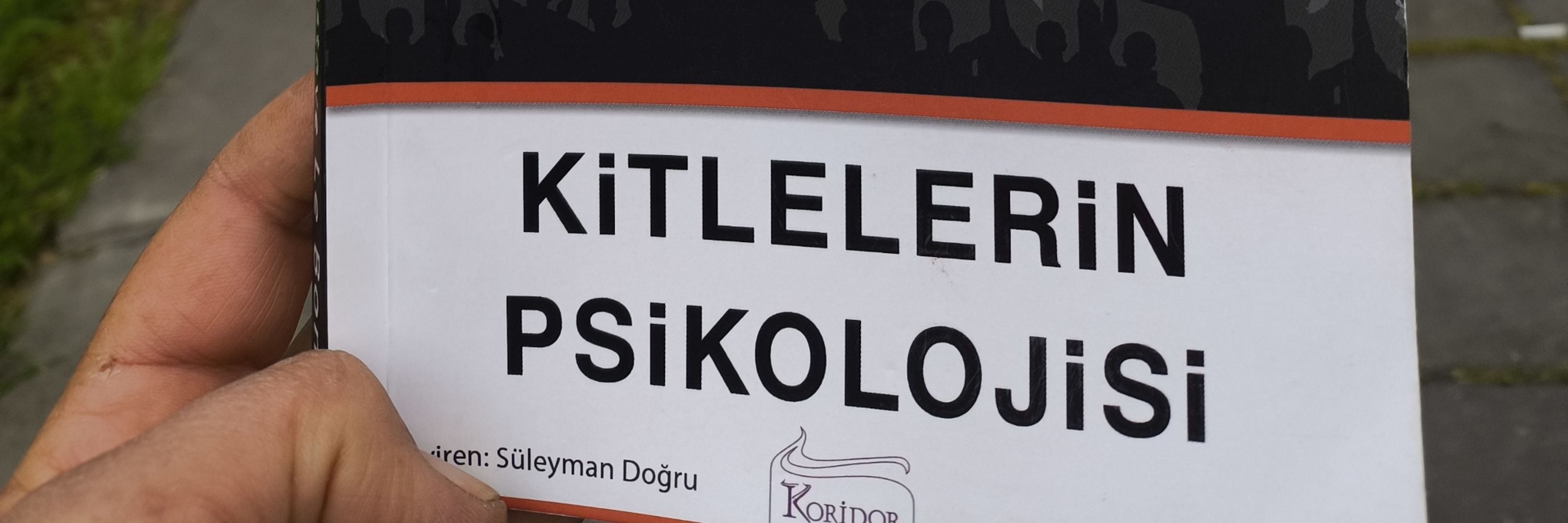 Kedilievindelisi