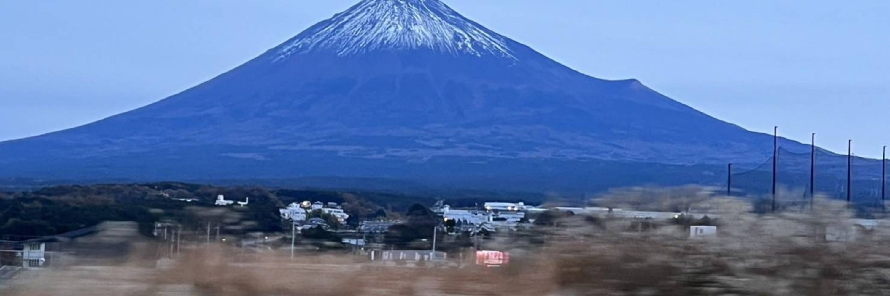 松ぽよ