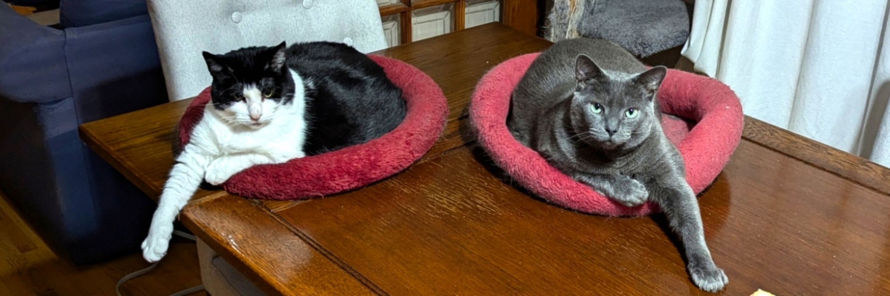 Clawfoot