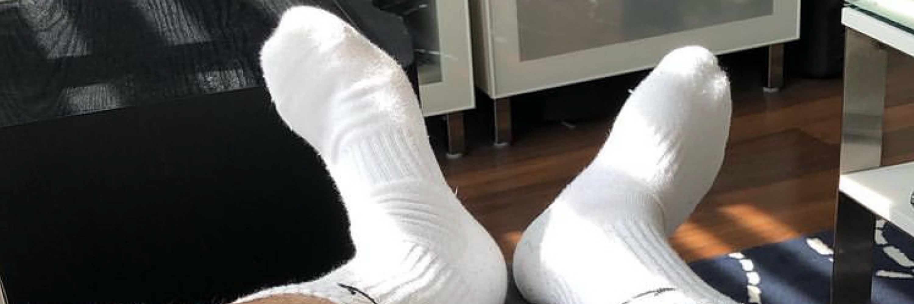 🐶