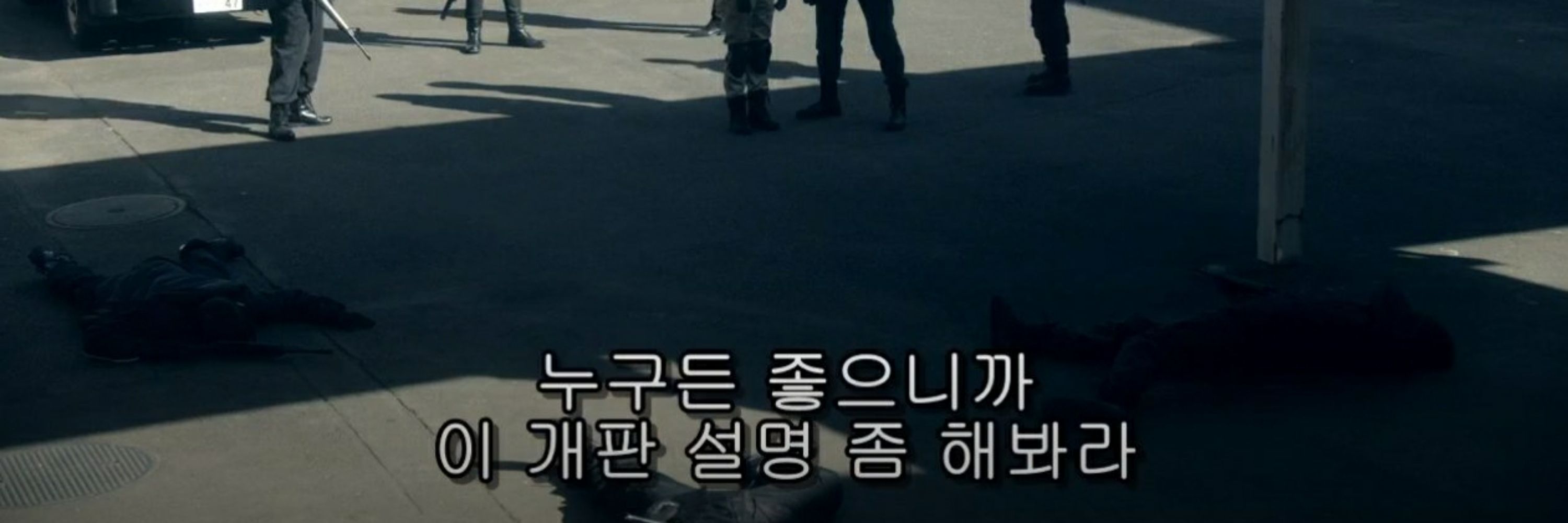 🔒백업하는달걀