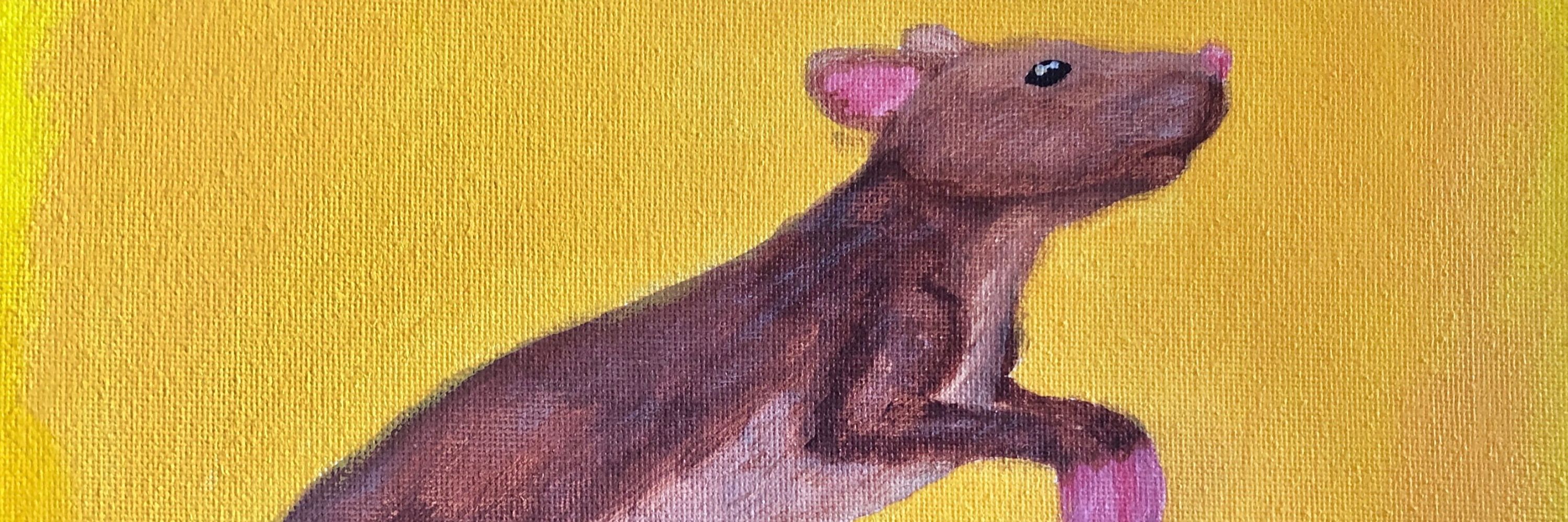 Scratchy Rat