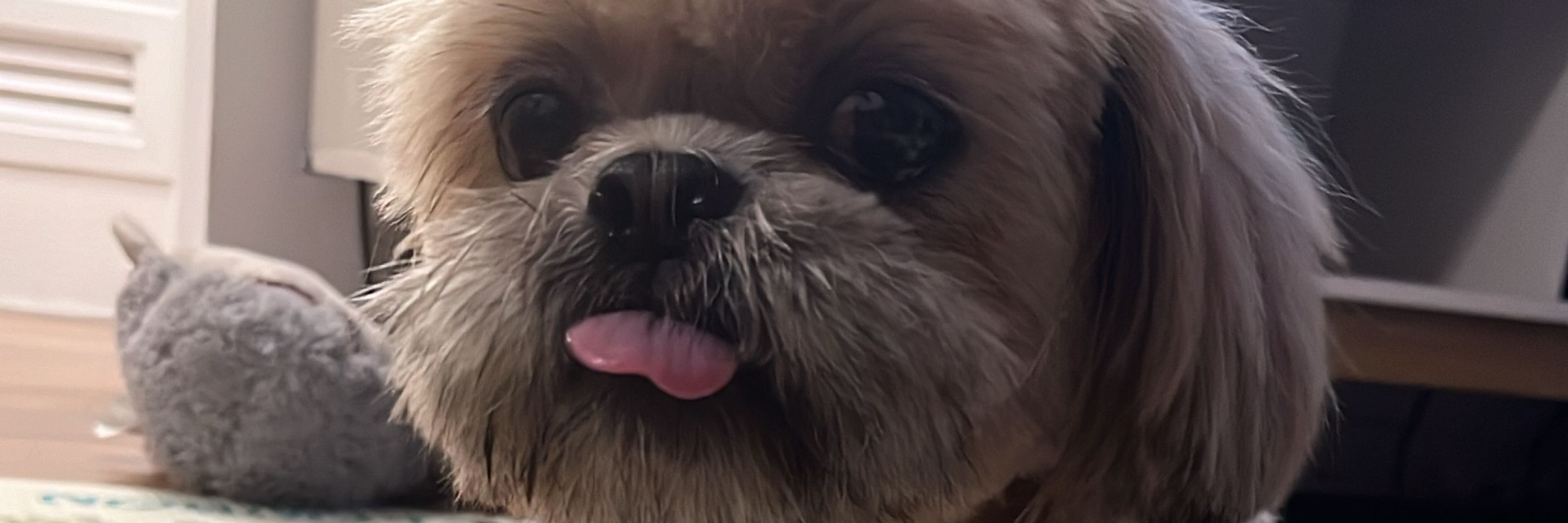 lu