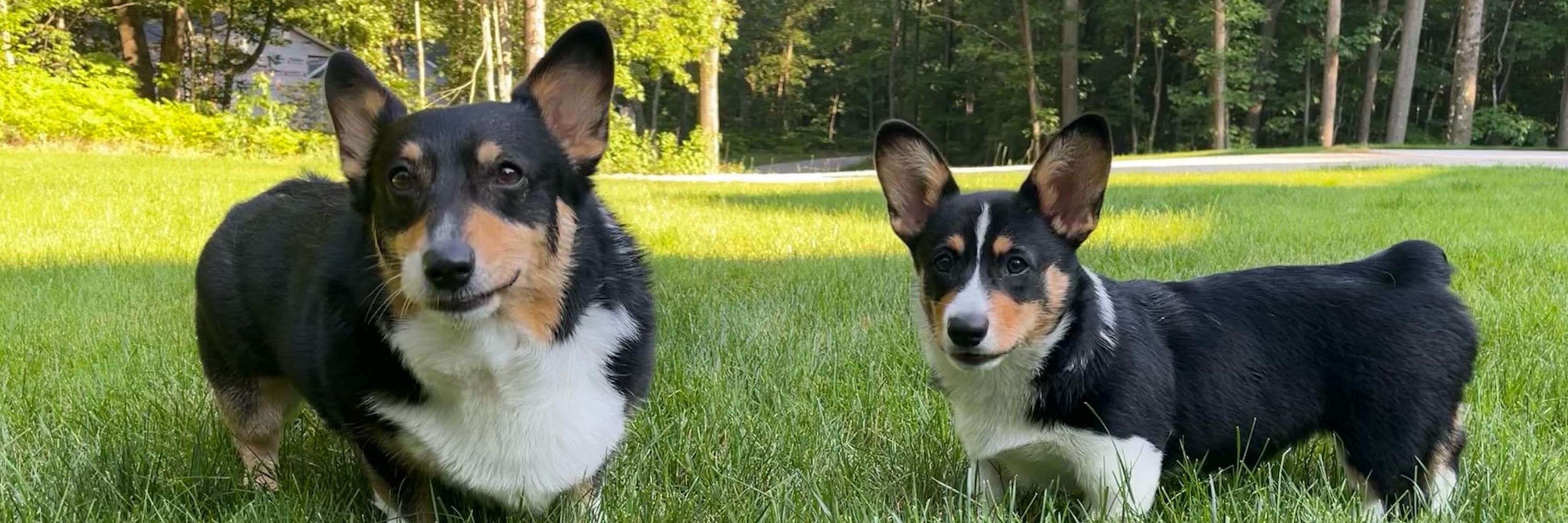 Peach & Ellie