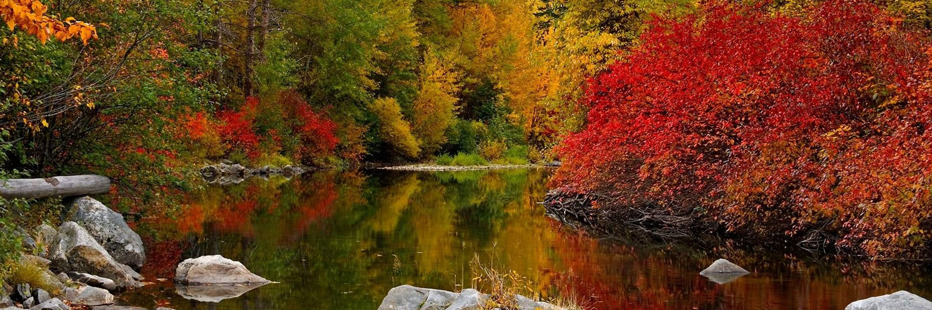 AutumnSkye