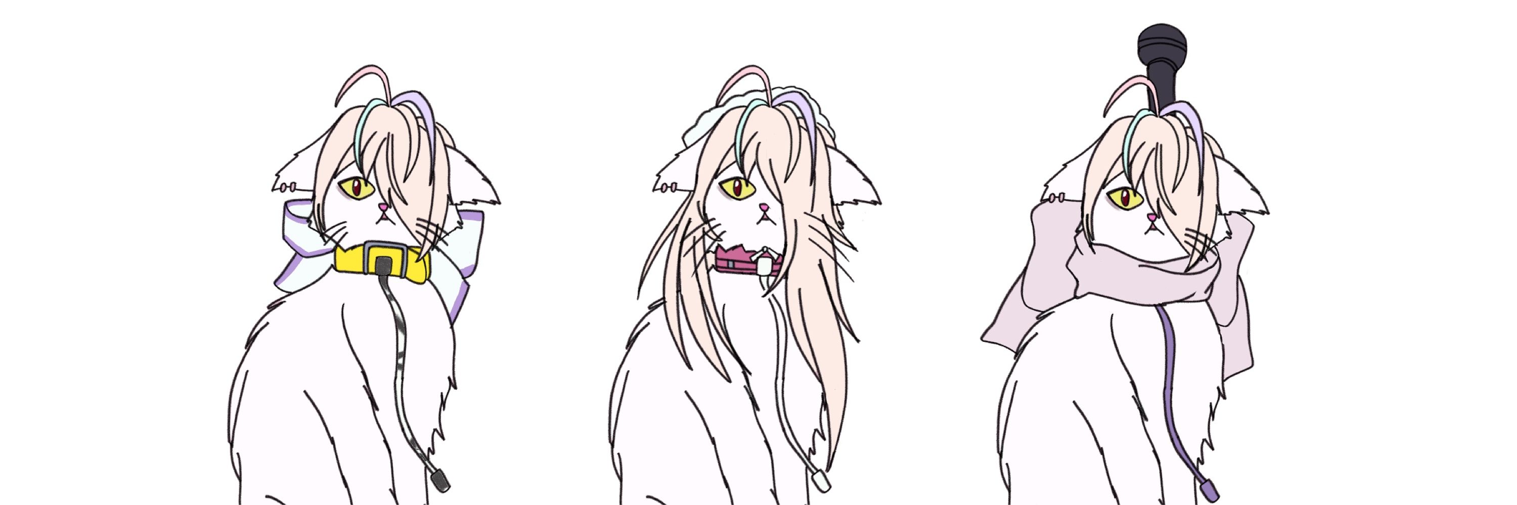 三毛もも