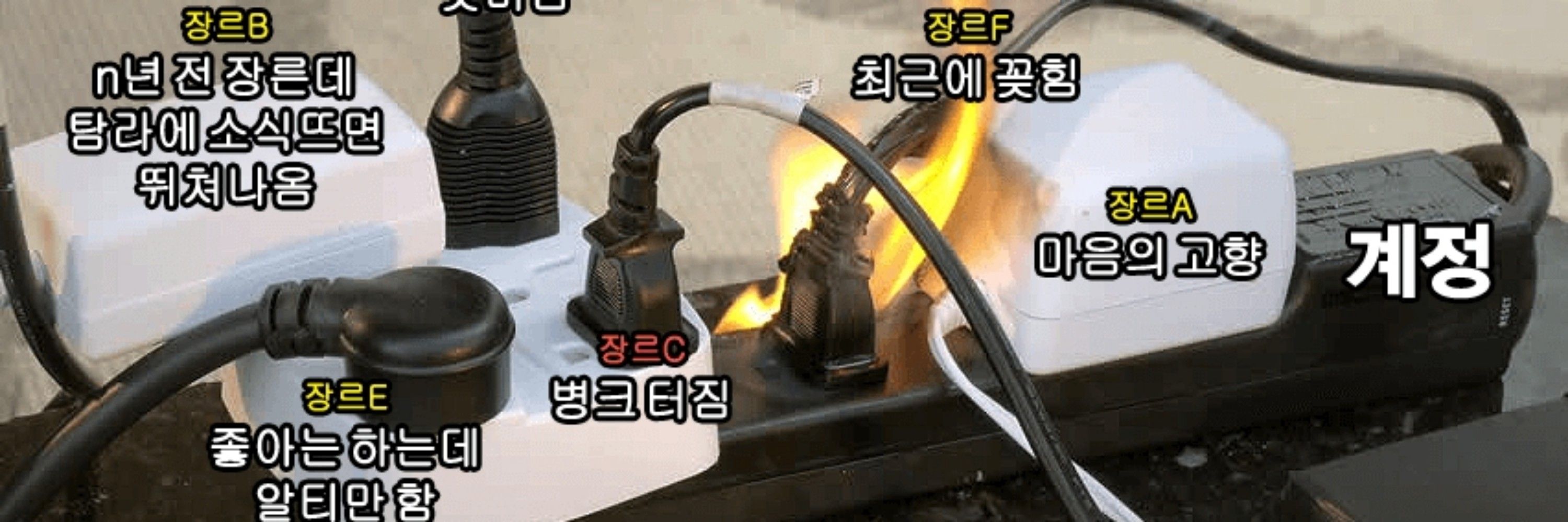 흐거운코흐를가르며🏀