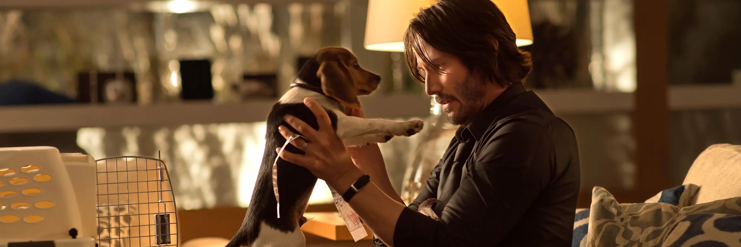 John Wick’s Shadow