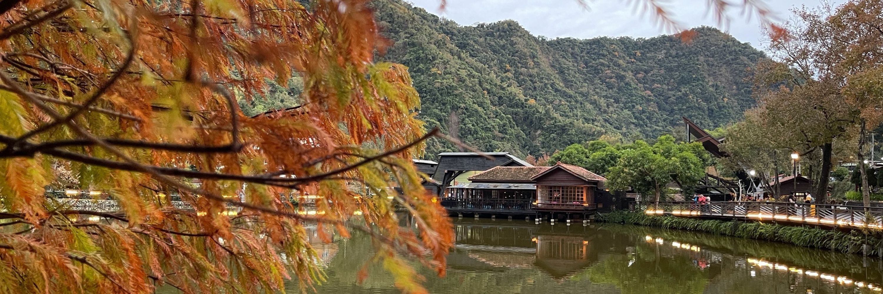 培根