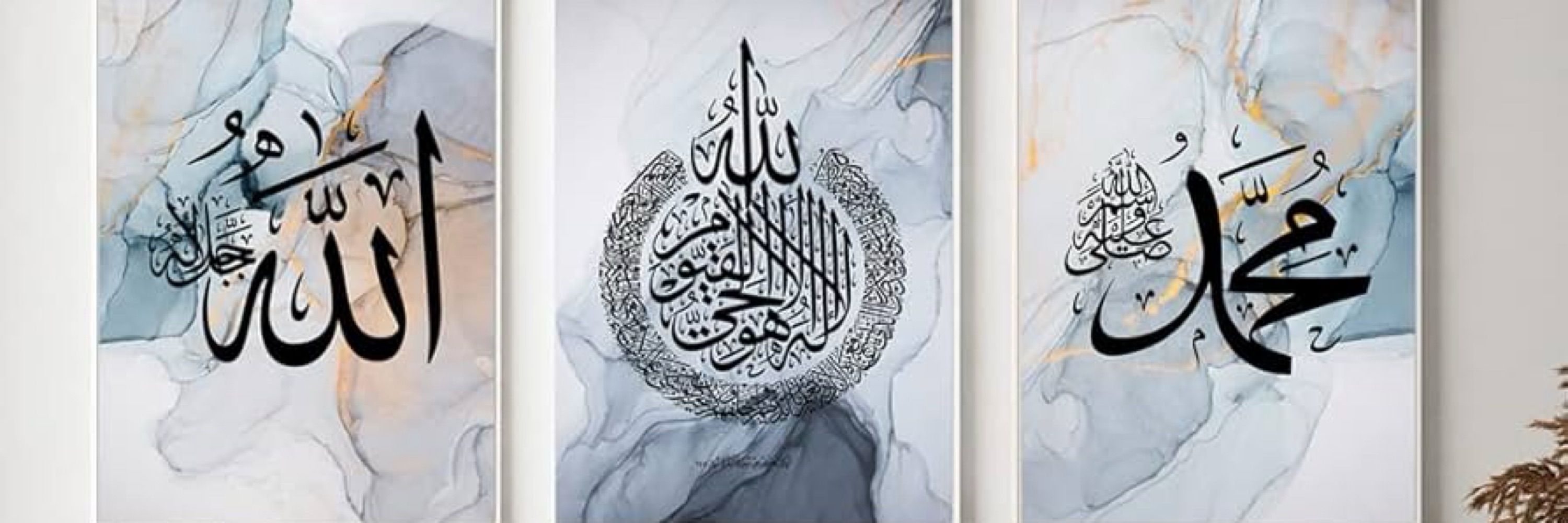 سید  عدنان بادشاہ🇵🇰