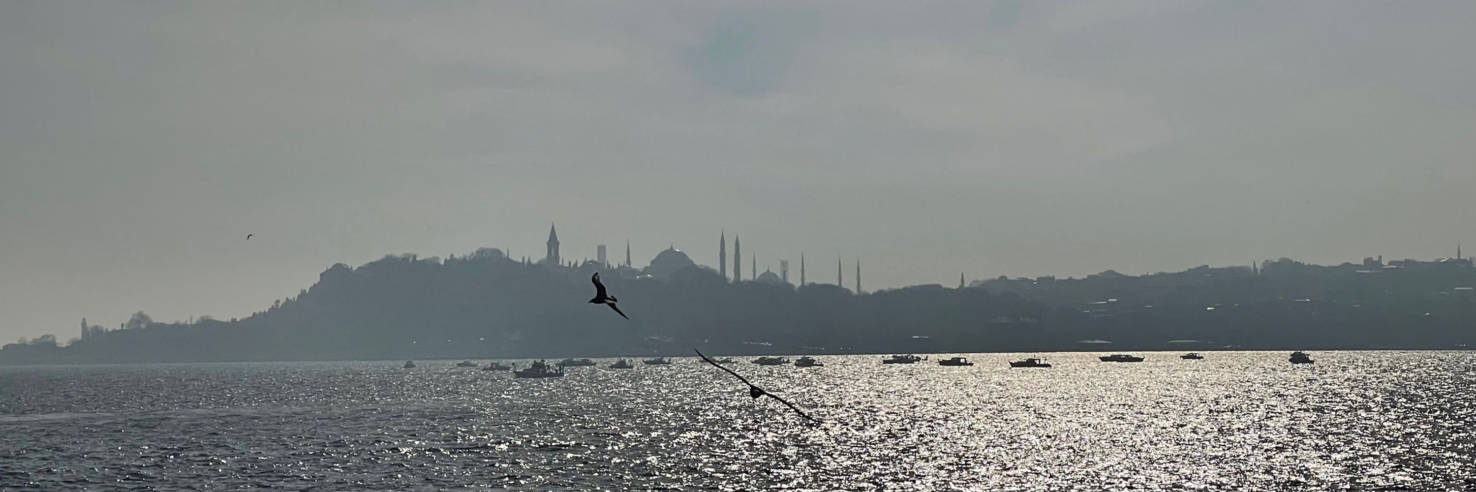 İlke kodal