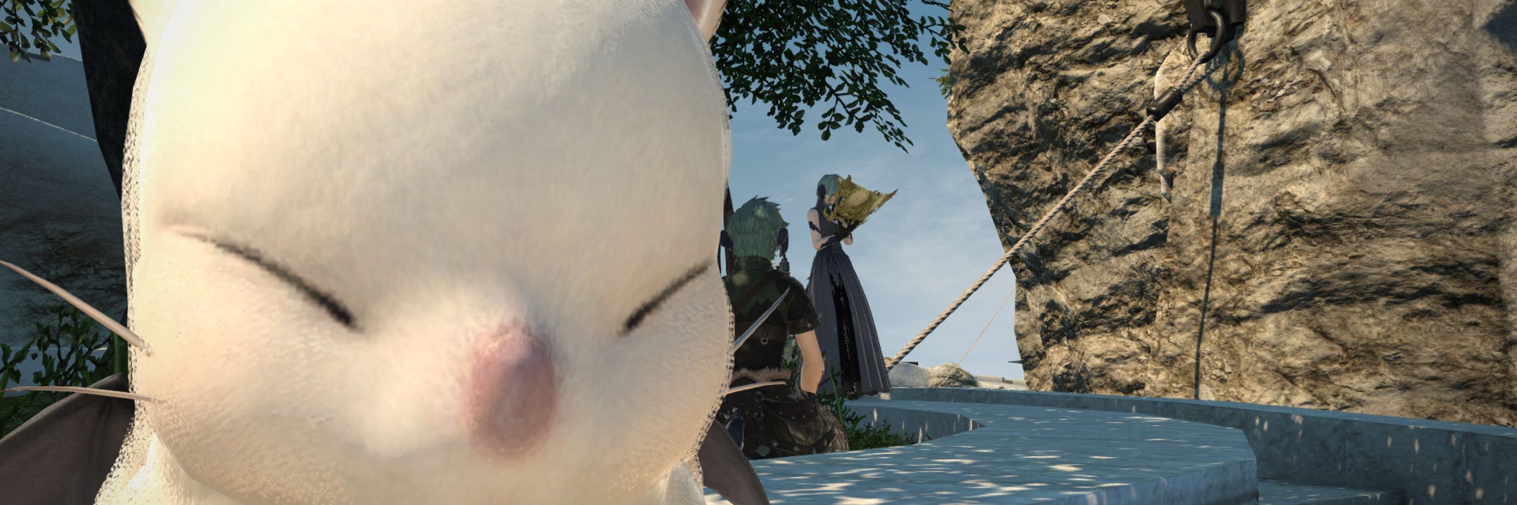 わさいぬ