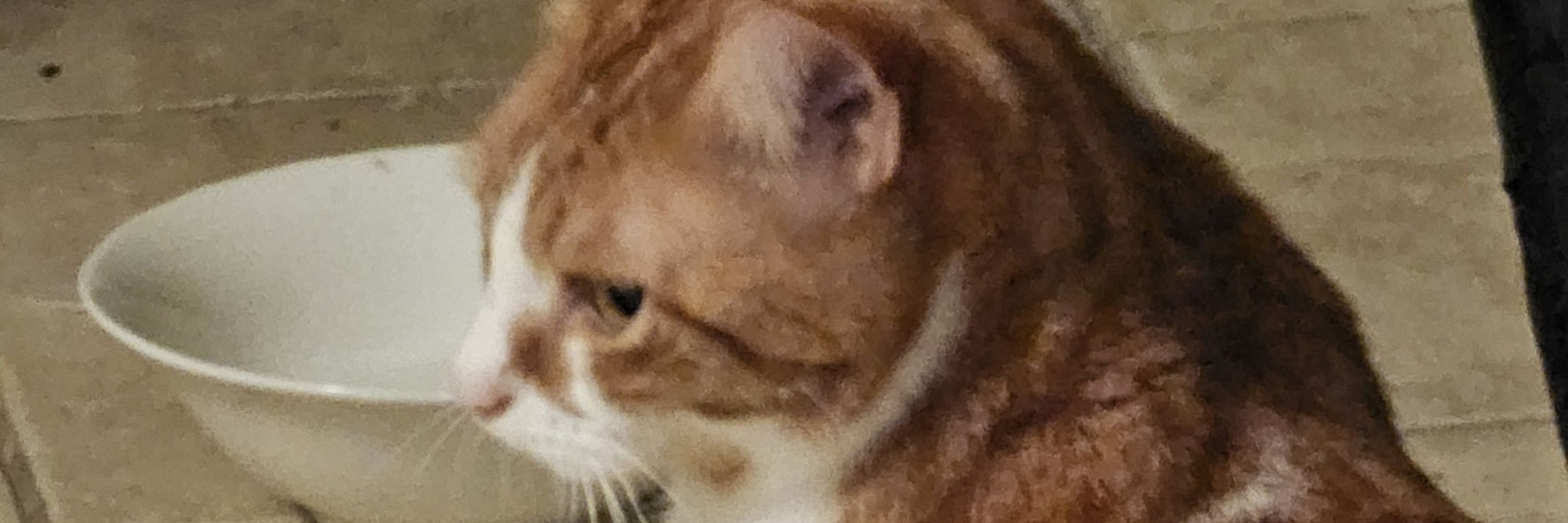 charlie