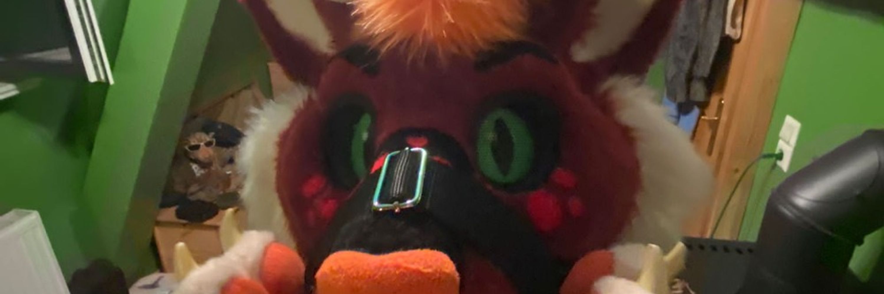 Roco_The_Husky