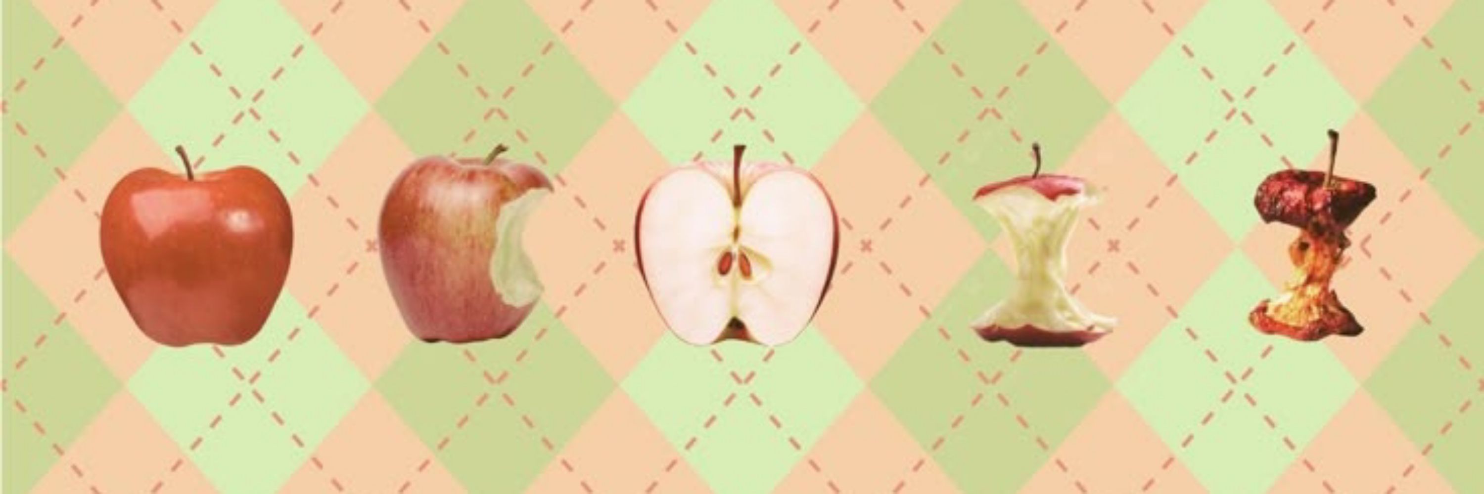 ᗩ᙭ᗴᒪ﹍🍎🐛