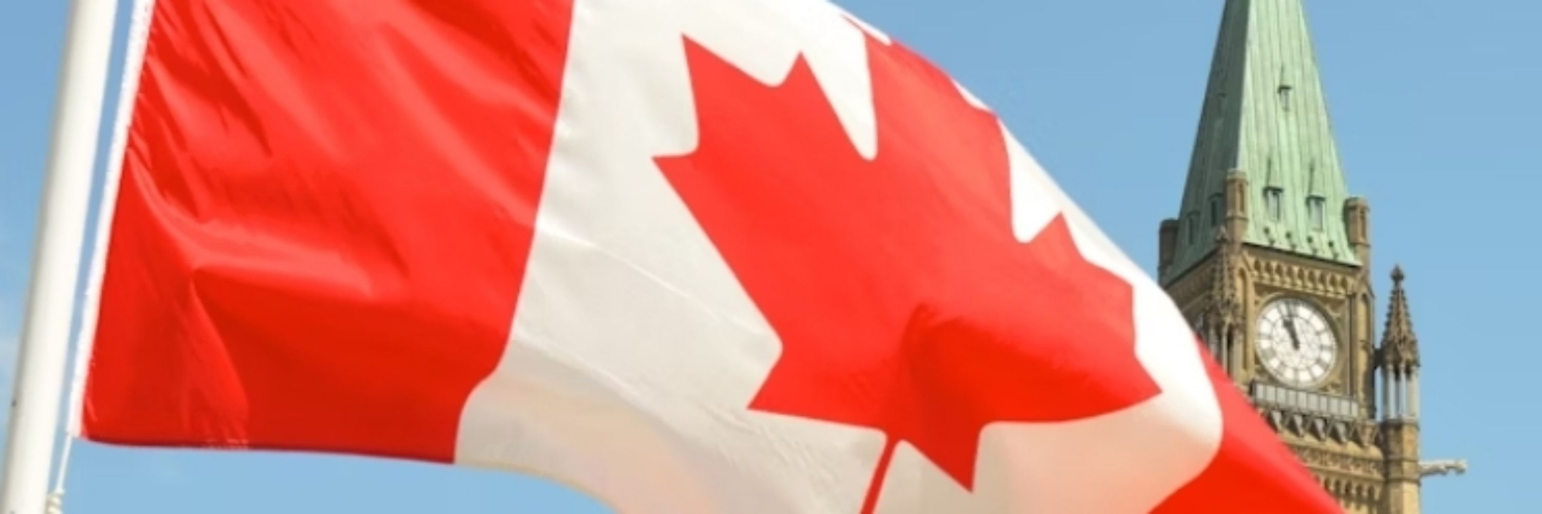 srsly-wtf 🇨🇦 Elbows up!