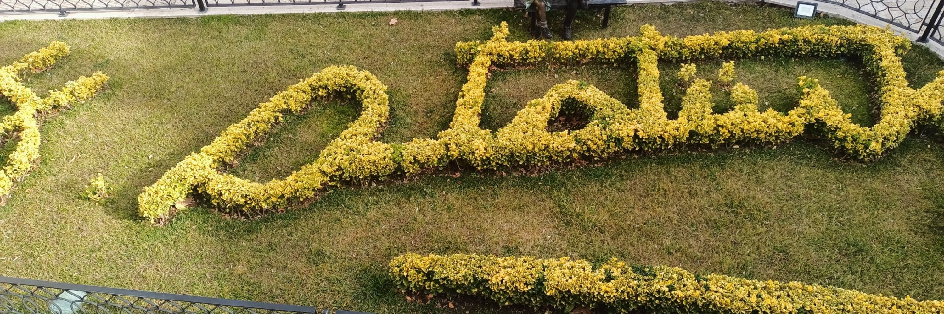 Kurtuluş Yok Tek Başına