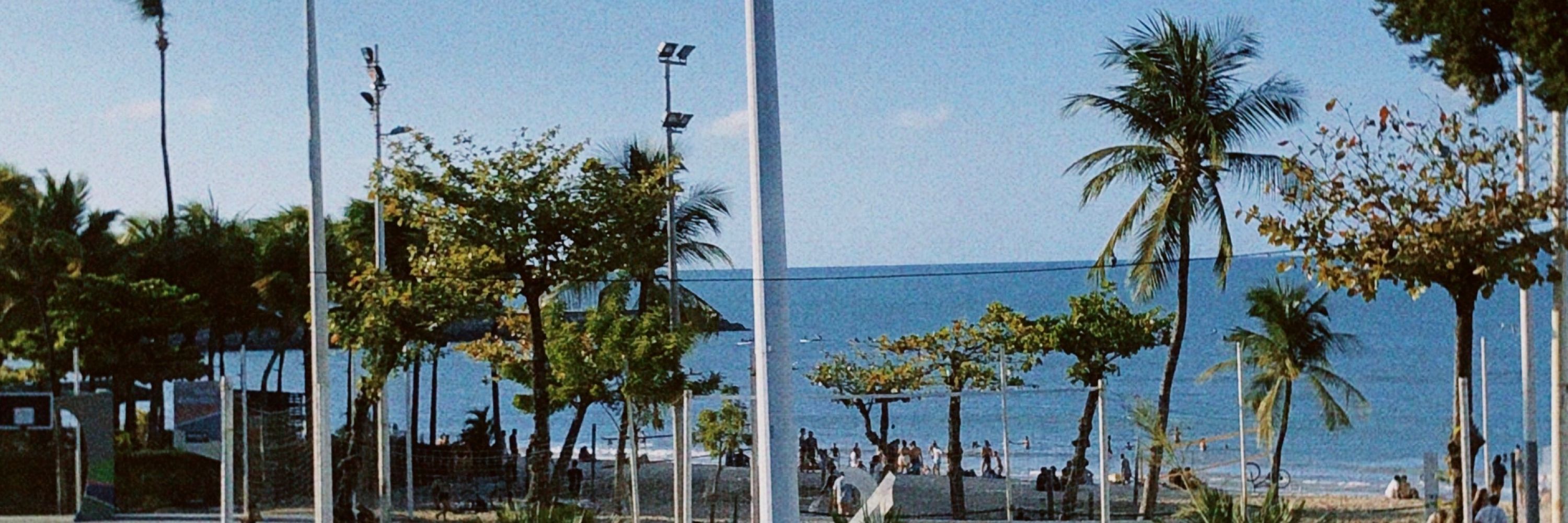peixe
