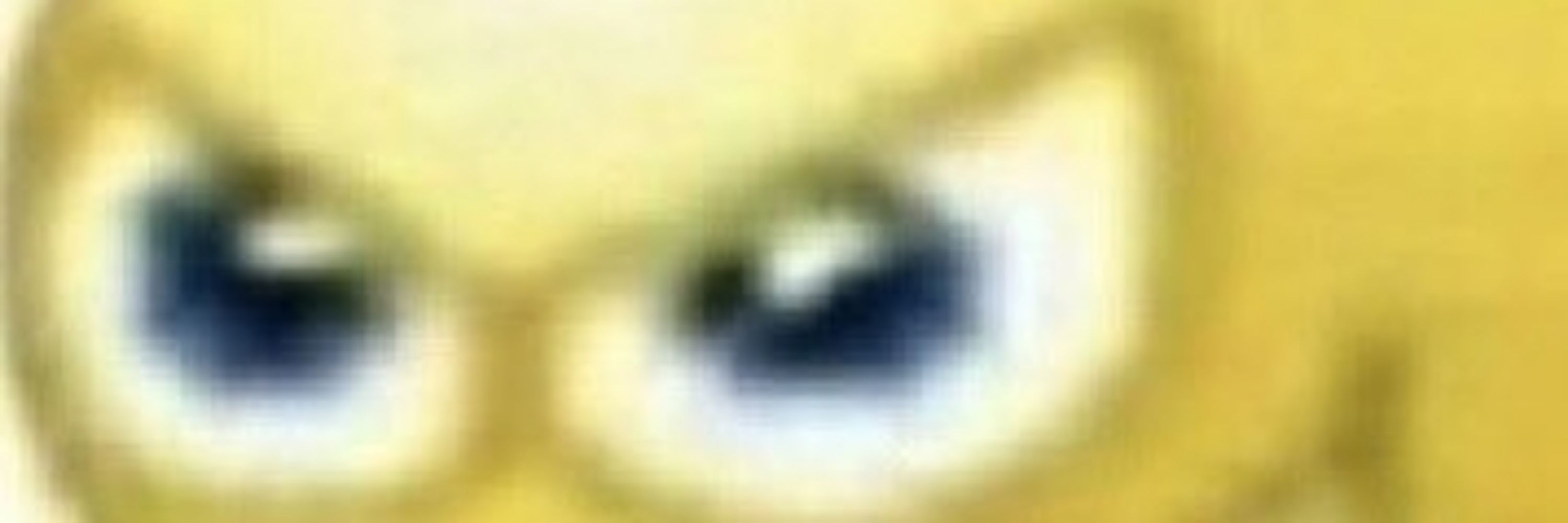 Xerecrazy