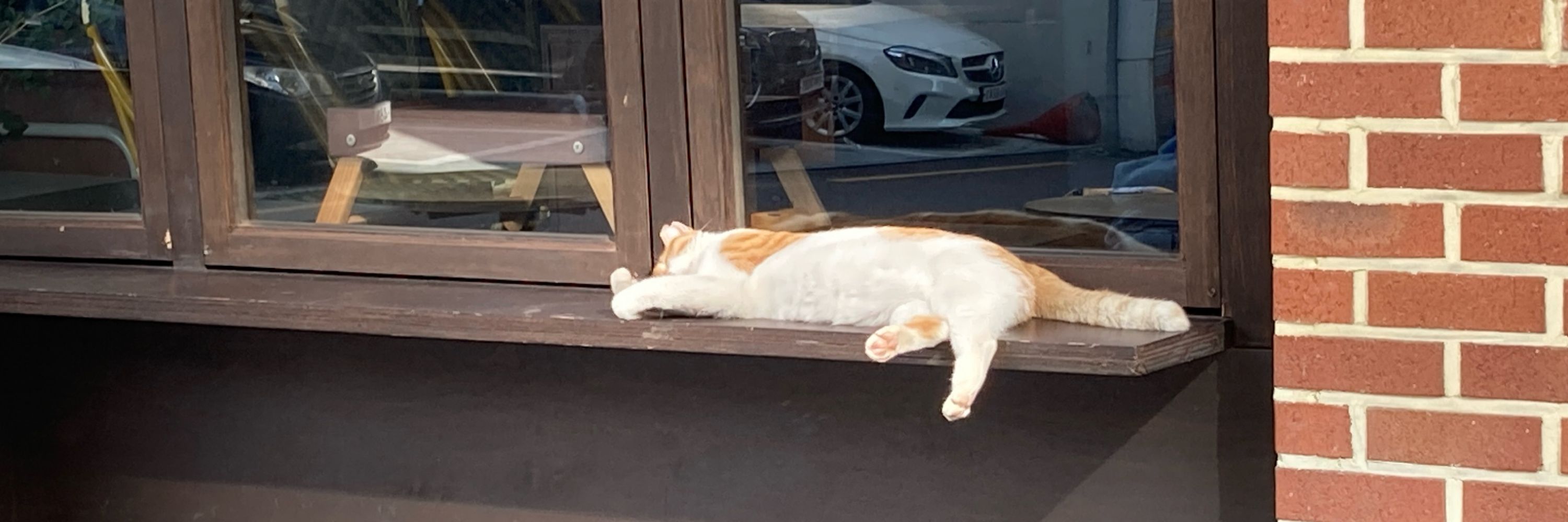 징글